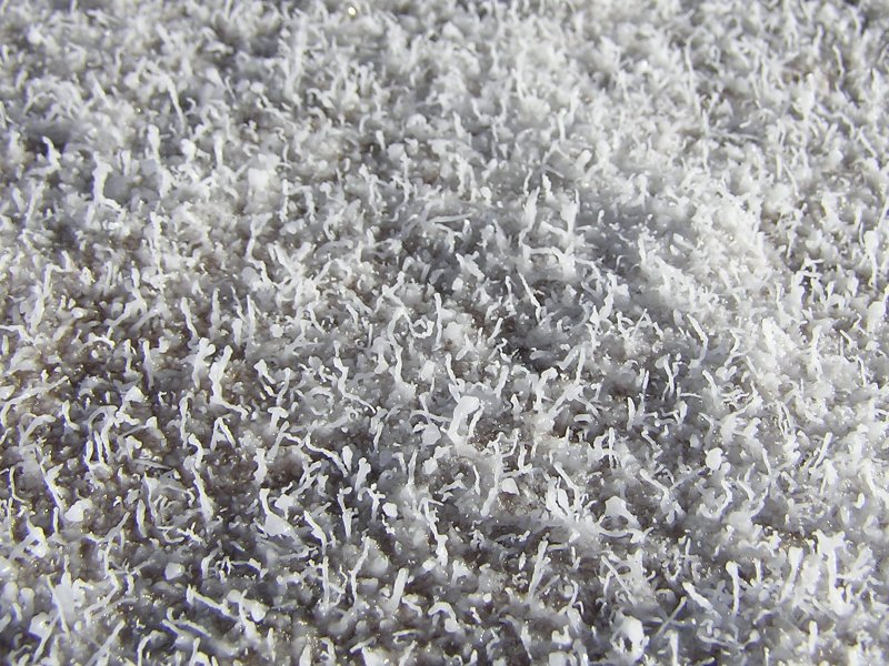 Playa compound magnified Playa compound magnified